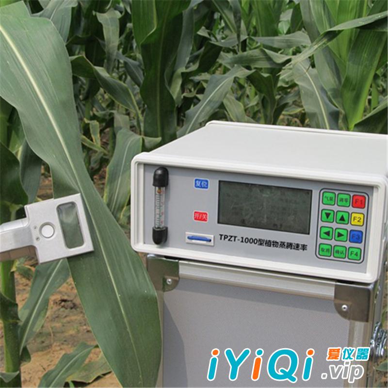 TPZT-1000型植物蒸腾速率/导度测定仪