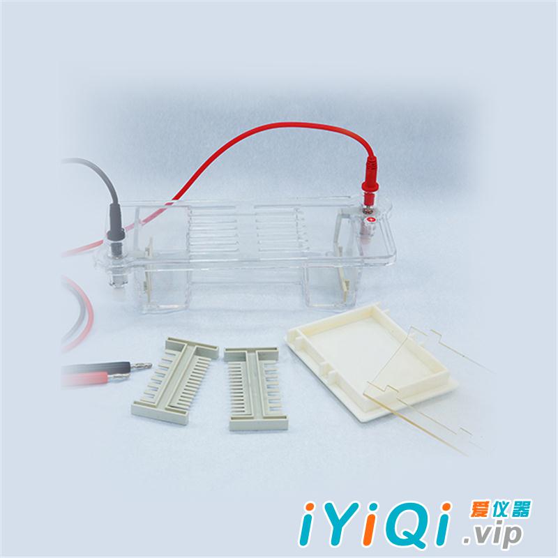 DYCP-31CN型琼脂糖水平电泳仪(小号) 