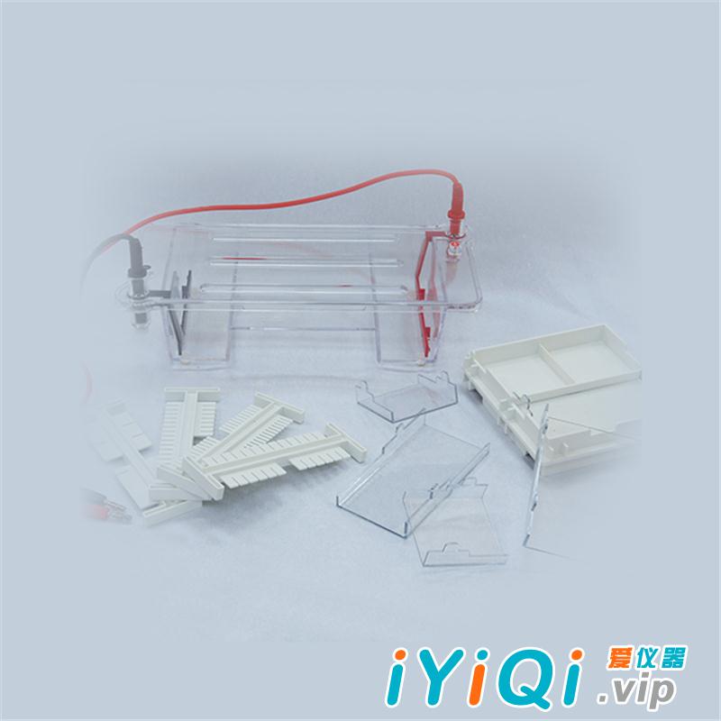 DYCP-31DN型琼脂糖水平电泳仪(小号)