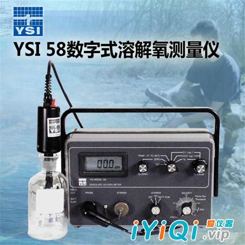 美国维赛YSI,58数字式溶解氧测量仪